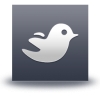 Latest Tweets