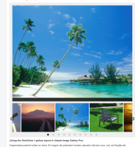 Simple Image Gallery Pro v3.10 released - PHP 8.x compatible for Joomla 3.x UTD, WebP, AVIF, ImageMagick!